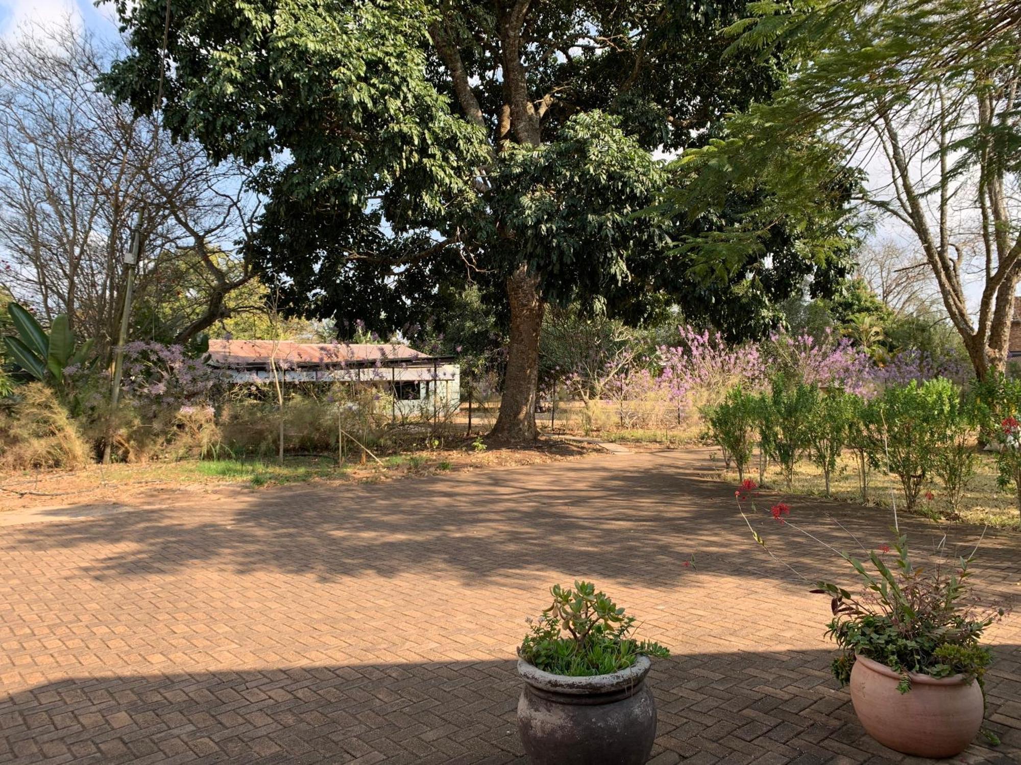 Ilanda Guest House White River Dış mekan fotoğraf